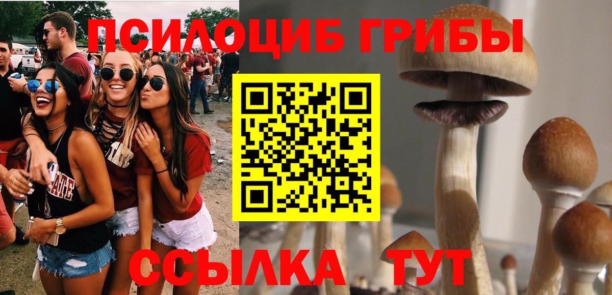 Батайск  Галлюциногенные грибы MAGIC MUSHROOMS  Вход с VPN  Галлюциногенные грибы прущие грибы 